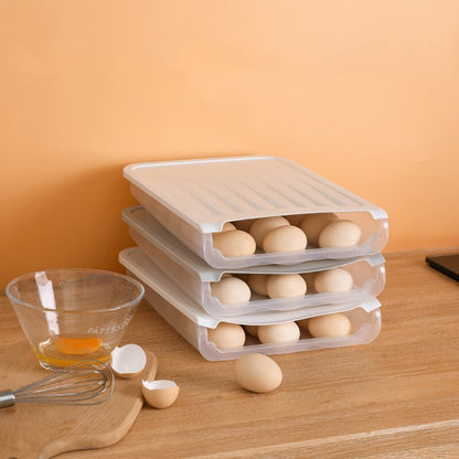 Egg Organizer