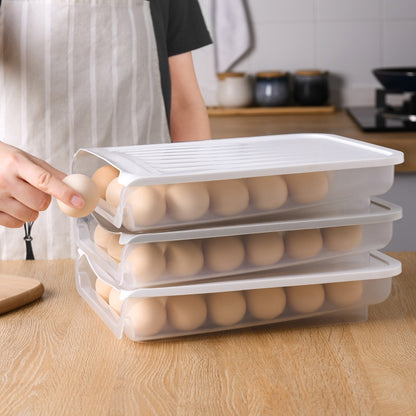 Egg Organizer