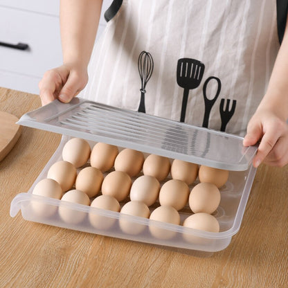 Egg Organizer